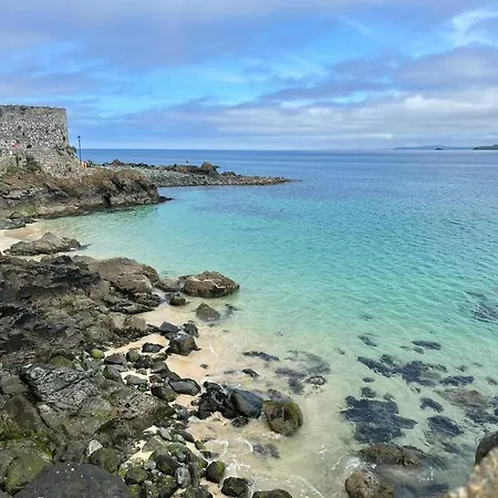 Bramble * Newquay (Cornwall)